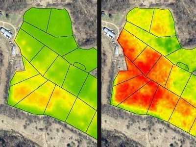 L'immagine concessa da Organic Valley mostra una vista aerea del terreno a pascolo e layer colorati che quantificano lo stato della vegetazione, con le piante più sane mostrate in verde e quelle meno sane in rosso.