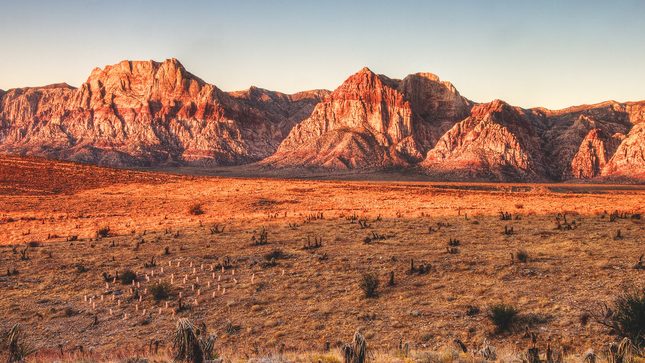 A brown desert landscape with rugged mountains in the background