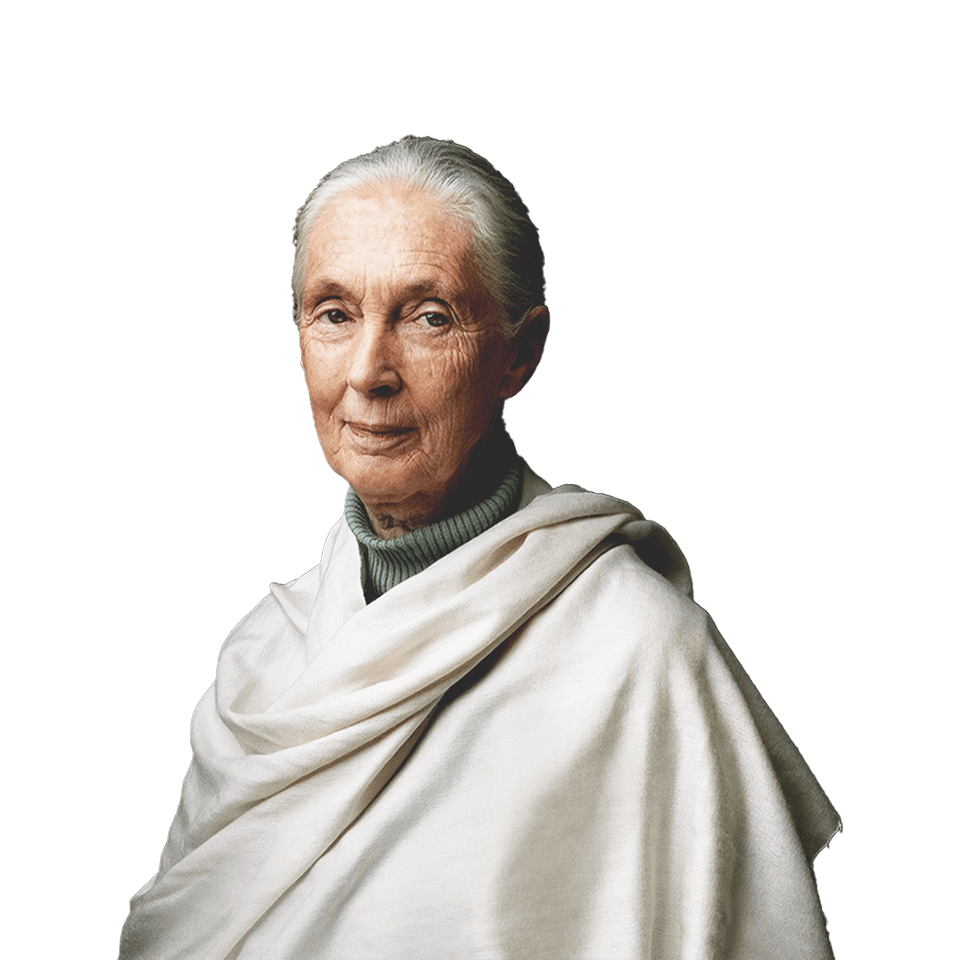 Dr. Jane Goodall, primatologist and activist, wearing a green turtleneck sweater and a tan poncho standing near background of leaves
